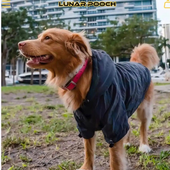 Lunar Pooch reflective dog hoodie - size 6 - iridescent reflective dog coat - Picture 12 of 14